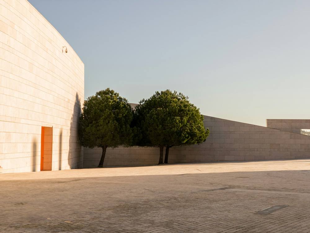 A sunlit courtyard paved in warm stone with two clipped trees against a long pale wall