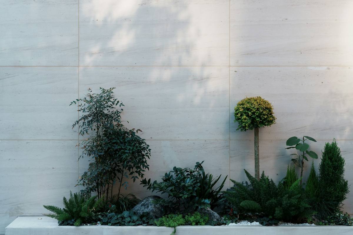 Pale stone-clad courtyard wall with a raised planting bed of ferns and a clipped standard tree