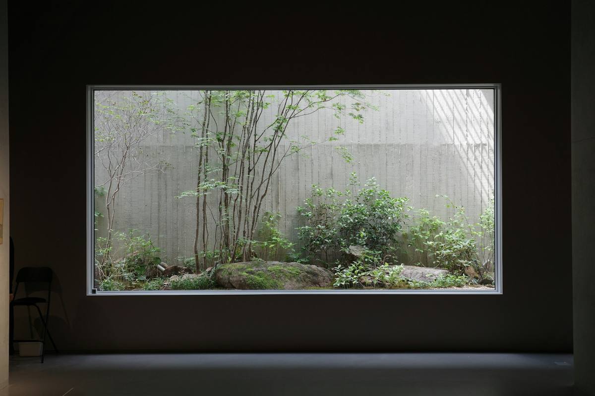 A dark room with a wide window looking onto a quiet planted courtyard